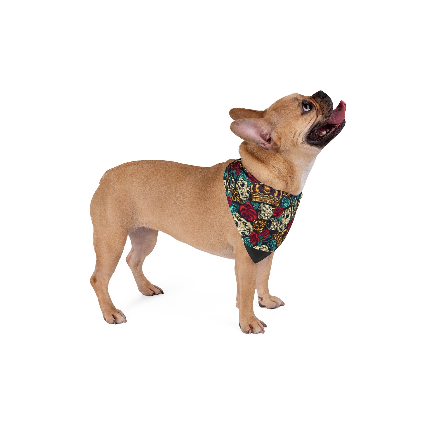 Dog wearing a black bandana with white patterns on a white background