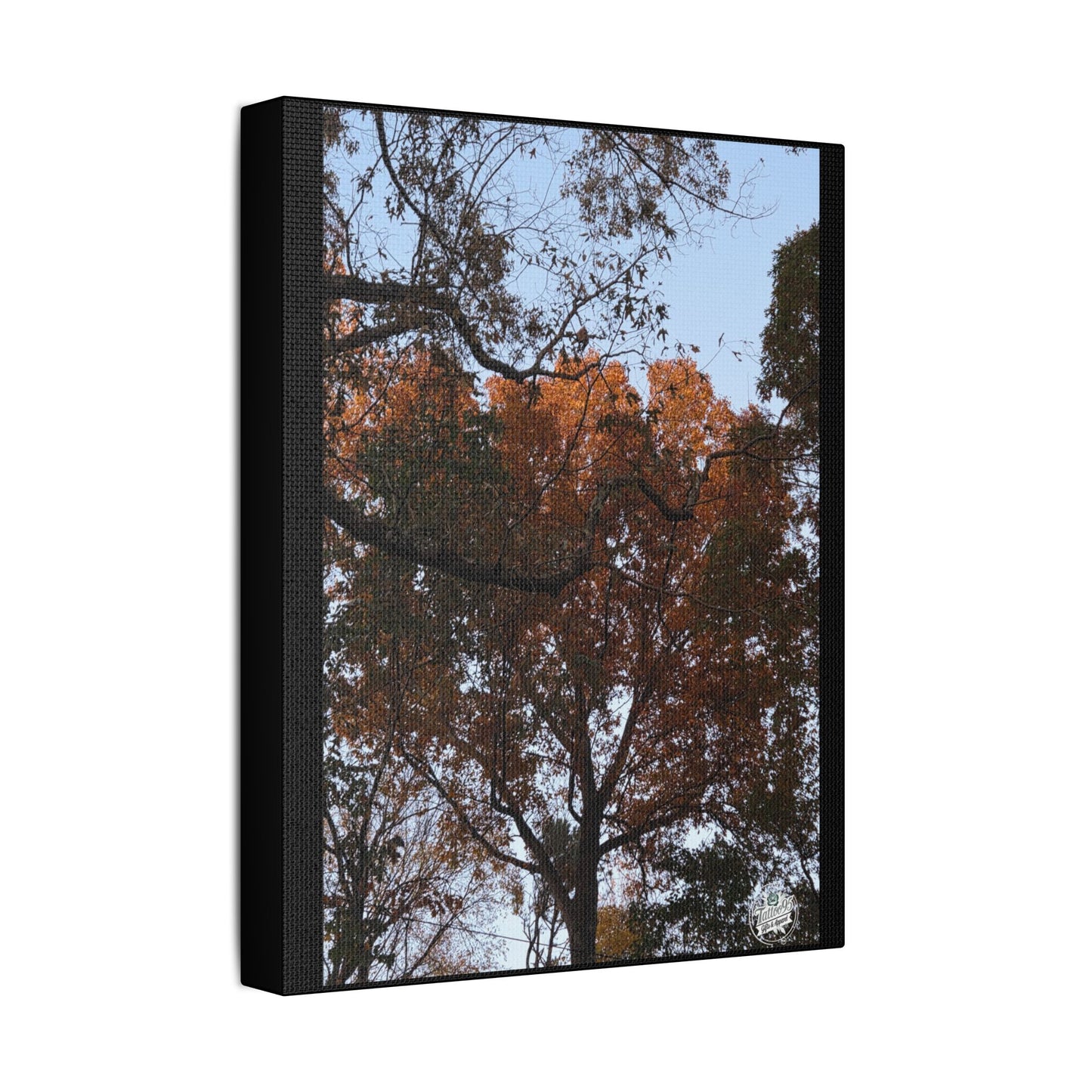 Wall Art - Fall Tree Photography- 11" x 14" Satin Canvas Stretched.