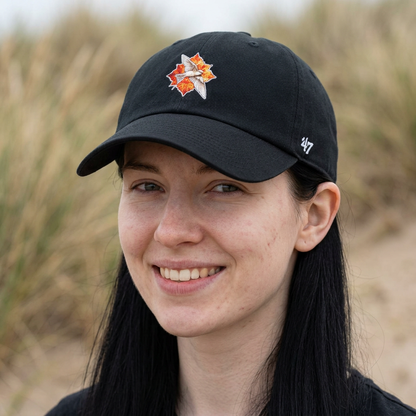 Swallow Bird Embroidered Baseball Cap — Casual Script Hat for Everyday Wear