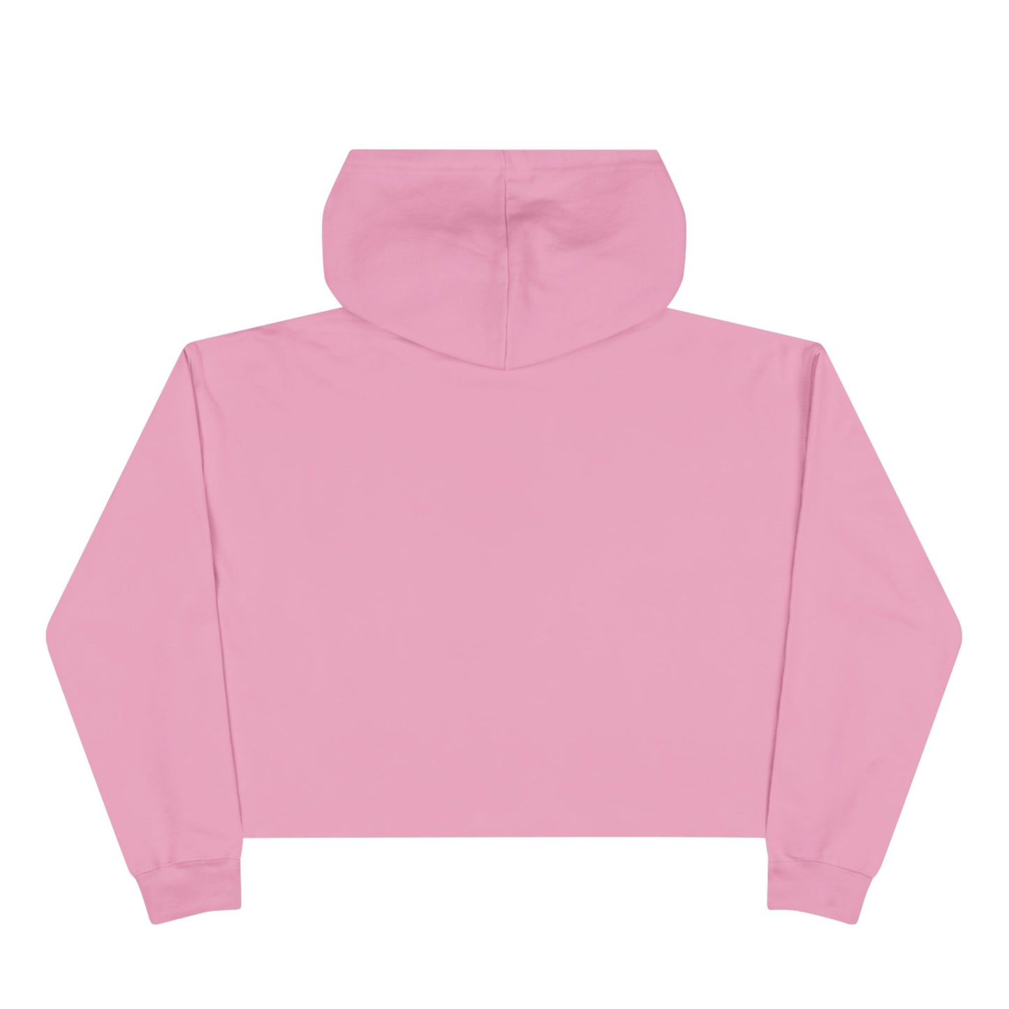 Frenemies - Crop Hoodie Sweatshirt