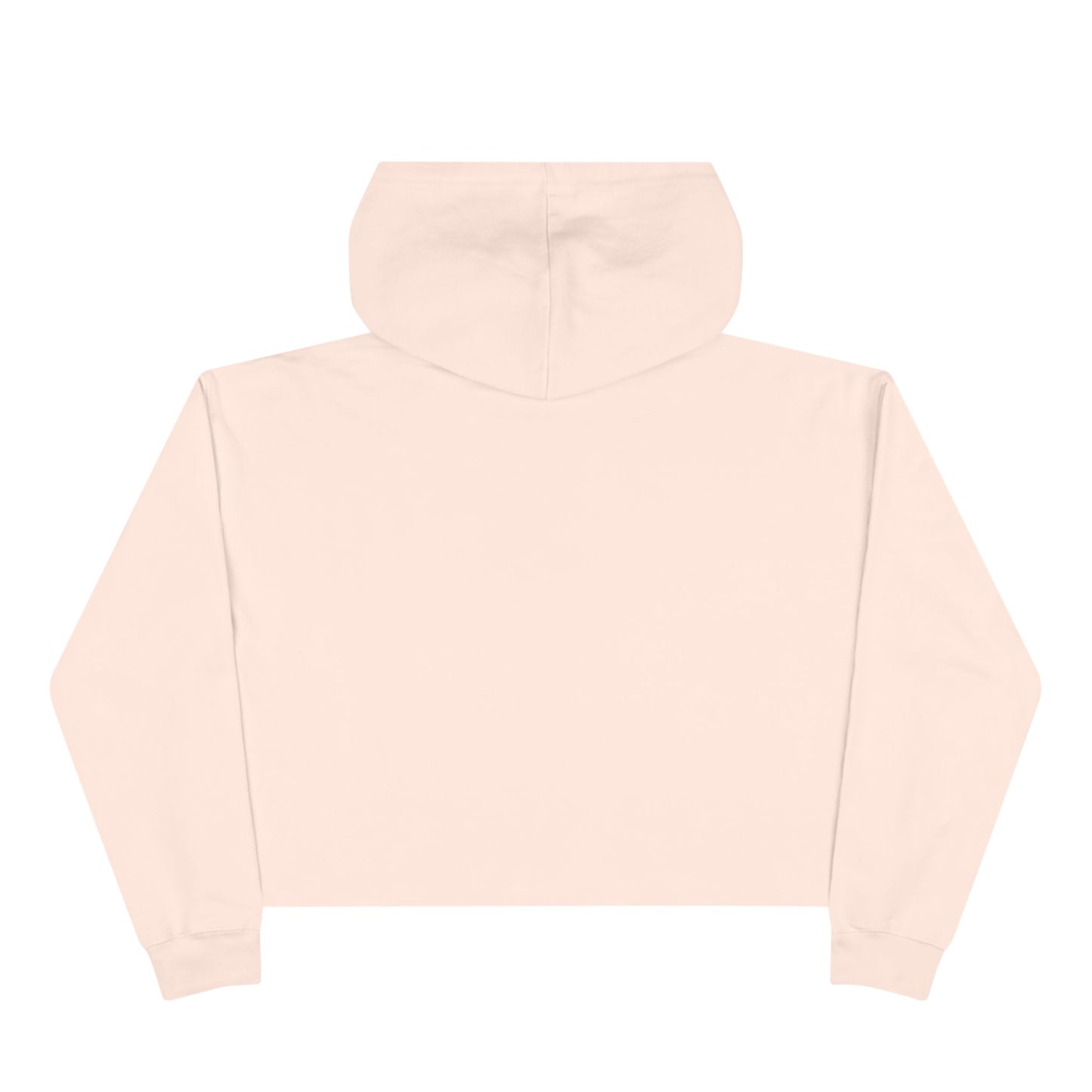 Frenemies - Crop Hoodie Sweatshirt